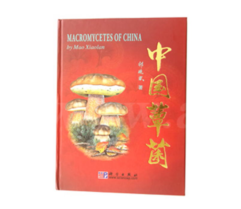 《中国蕈菌》